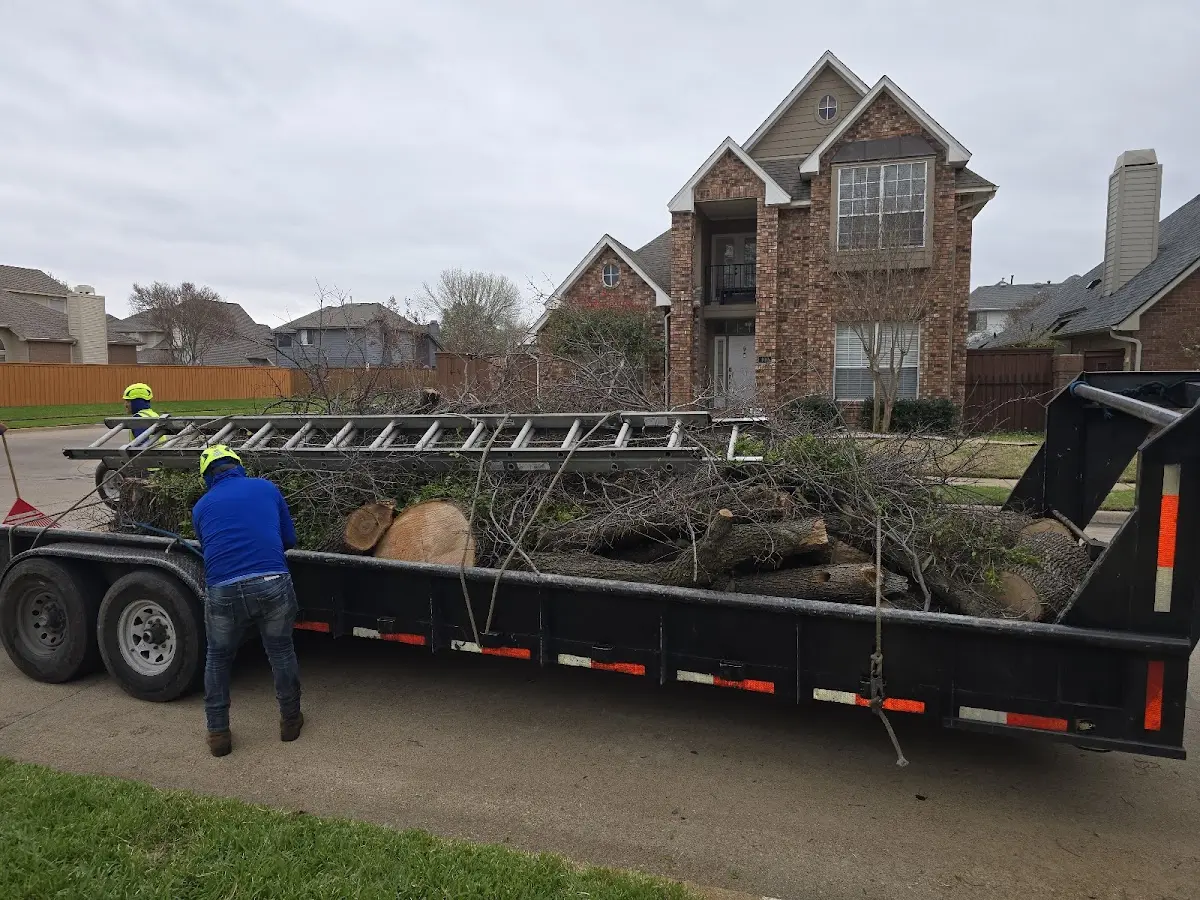 Expert Tree Pest Control with proper safety equipment in Vardaman
